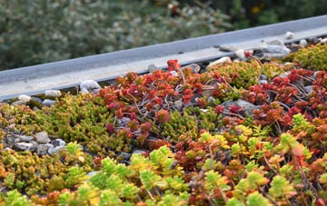 the cost of Fox Lane green roof installation