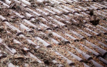 Fox Lane roof cleaning companies