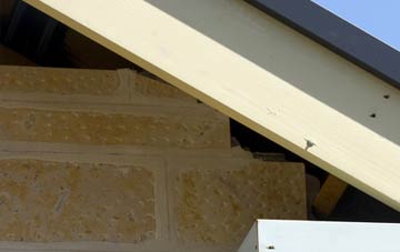 soffit repair Fox Lane